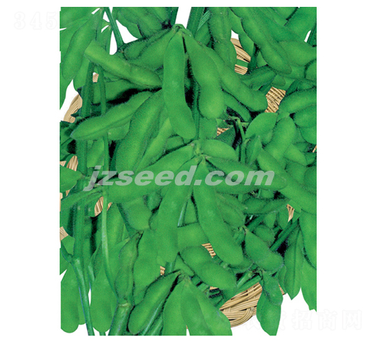 ���r��̖-ë���N��-�F(xi��n)���N�I(y��)