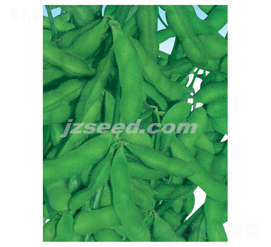 ���r��̖-ë���N��-�F(xi��n)���N�I(y��)