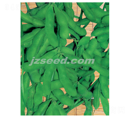 ������̖(h��o)-ë���N��-�F(xi��n)���N�I(y��)