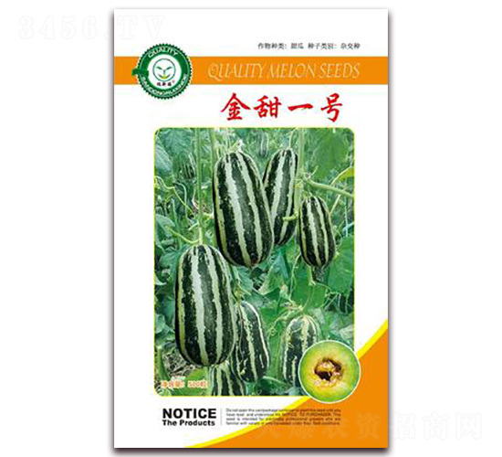 ����һ̖-��ϷN��-�|���S