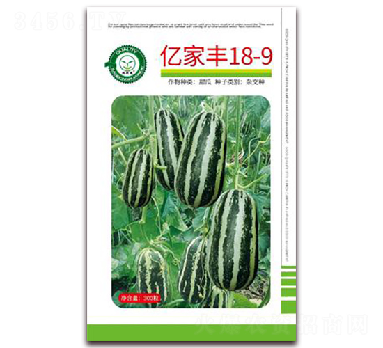 �|���S18-9-��ϷN��-�|���S