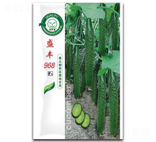 ʢ�S968-�S�ϷN��-�|���S