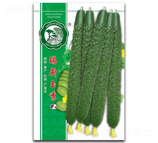 ��������-�S�ϷN��-�|���S