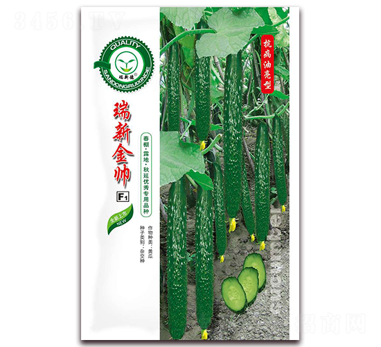 ���½���-�S�ϷN��-�|���S