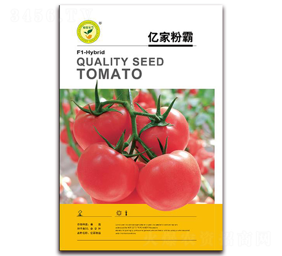 �|�ҷ۰�-���ѷ۹��N��-�|���S