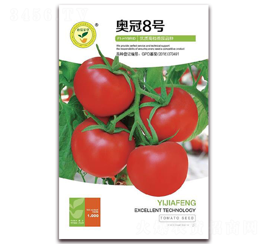 �W��8̖-���Ѽt���N��-�|���S