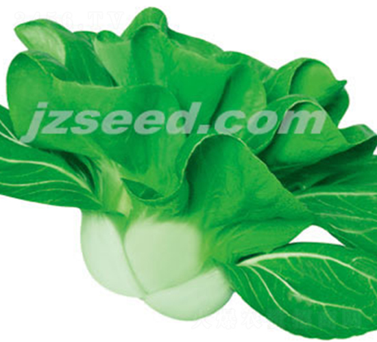 ���r(n��ng)�ذ���-С�ײ˷N��-�F(xi��n)���N�I(y��)