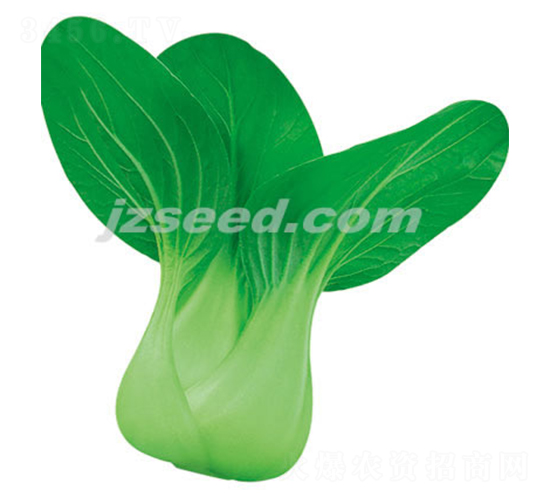 ����325-С�ײ˷N��-�F(xi��n)���N�I(y��)