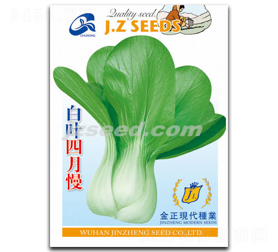 ���~������-С�ײ˷N��-�F(xi��n)���N�I(y��)