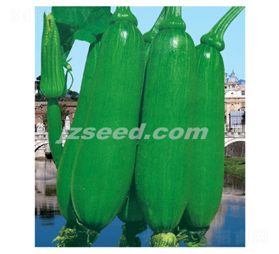 �n����ζ-�ϹϷN��-�F(xi��n)���N�I(y��)