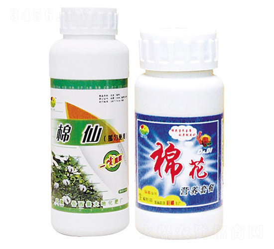 ���ɠI�B(y��ng)�ײ�-��ػ���