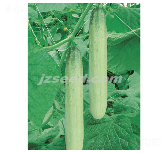 �n���y��-�S�ϷN��-�F(xi��n)���N�I(y��)