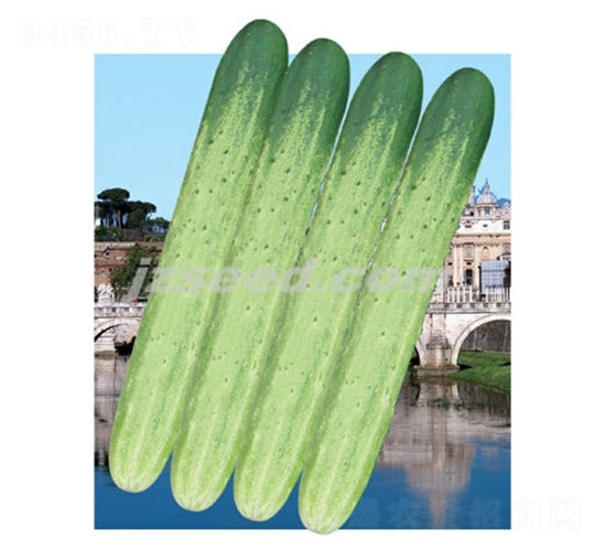 �n���y�S-�S�ϷN��-�F(xi��n)���N�I(y��)