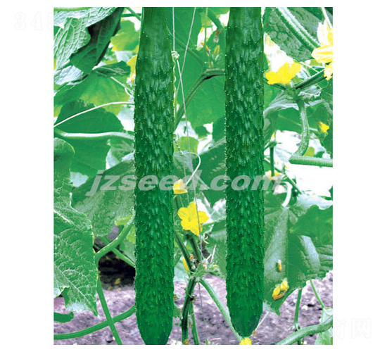 �n�ж�ʮ��-�S�ϷN��-�F(xi��n)���N�I(y��)