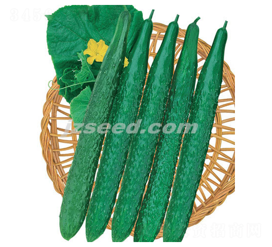 �n�д���-�S�ϷN��-�F(xi��n)���N�I(y��)