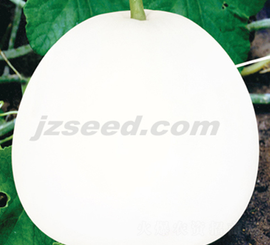 �������-��ϷN��-�F(xi��n)���N�I(y��)