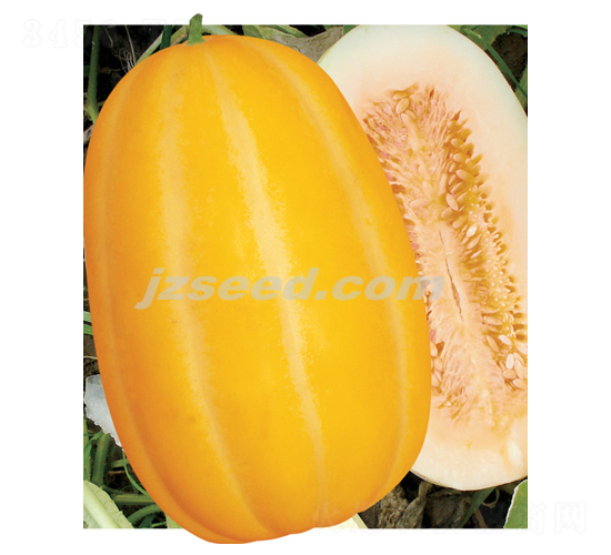 �������-��ϷN��-�F(xi��n)���N�I(y��)