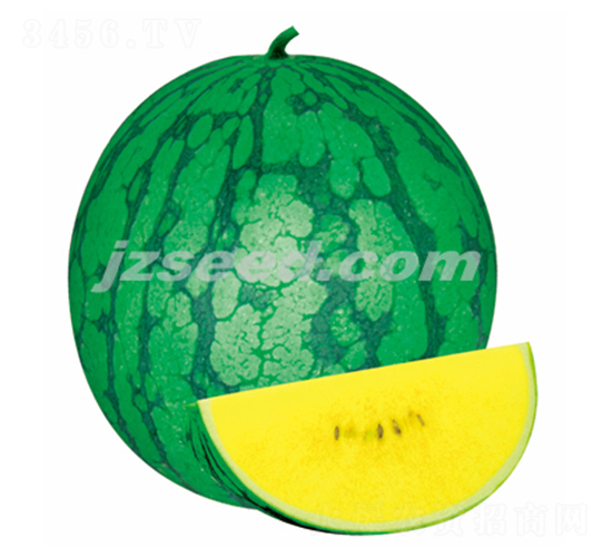 �ă�(y��u)����-���ϷN��-�F(xi��n)���N�I(y��)