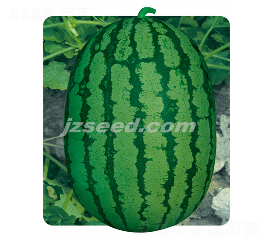 ��������-���ϷN��-�F(xi��n)���N�I(y��)