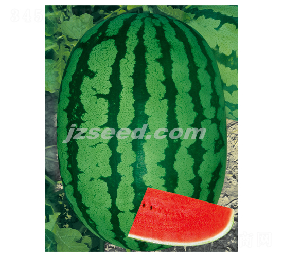 �������-���ϷN��-�F(xi��n)���N�I(y��)