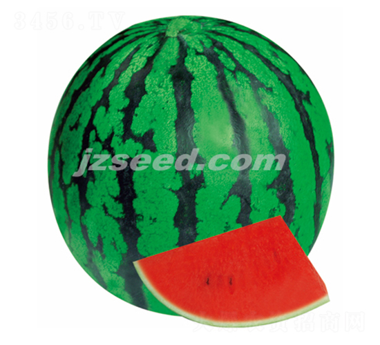 �������S-���ϷN��-�F(xi��n)���N�I(y��)