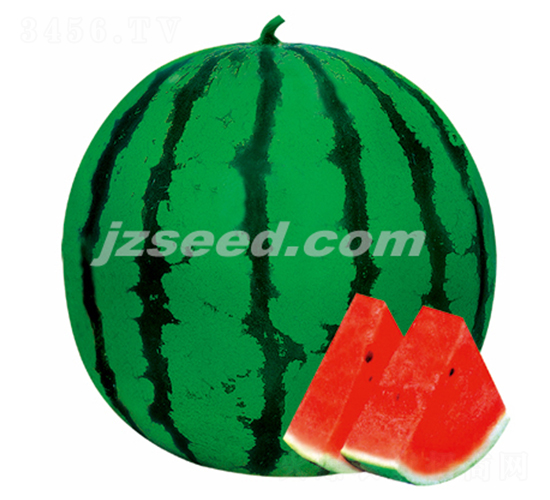 �����ی�-���ϷN��-�F(xi��n)���N�I(y��)