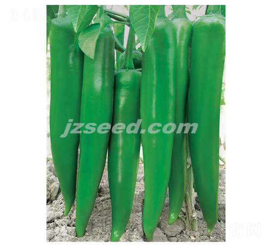 ���r(n��ng)�G��-�����N��-�F(xi��n)���N�I(y��)