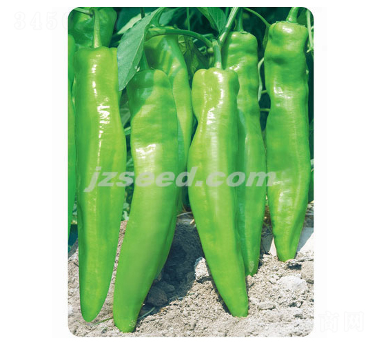 ����618-�����N��-�F(xi��n)���N�I(y��)