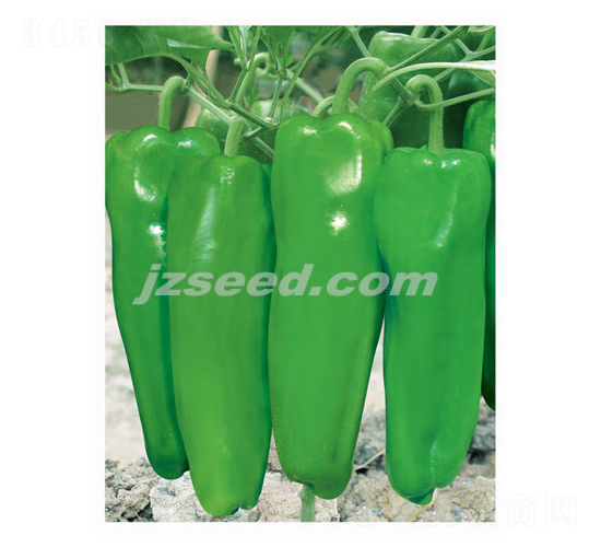 �����-�����N��-�F(xi��n)���N�I(y��)