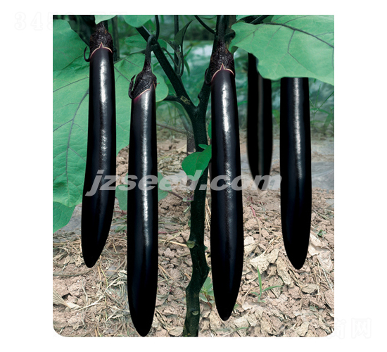 �f������-���ӷN��-�F(xi��n)���N�I(y��)