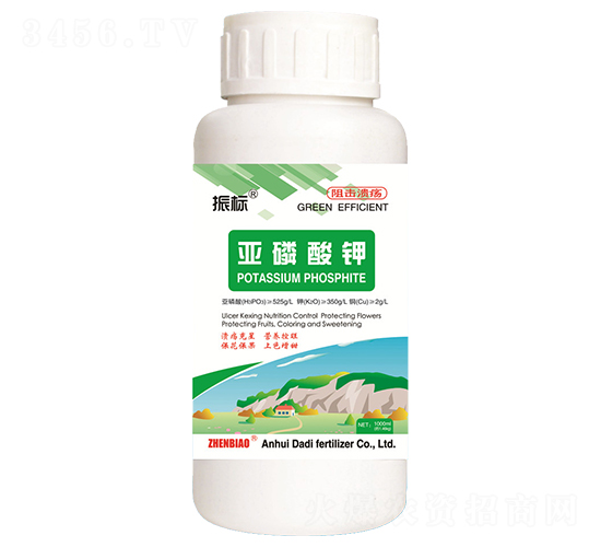 �������-���-��ػ���