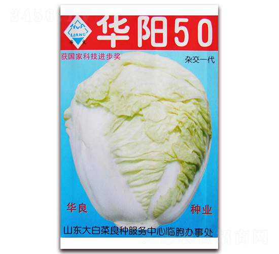 �A�(y��ng)50-��ײ˷N��-�A���N�I(y��)