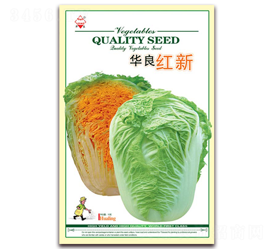 �A���t��-��ײ˷N��-�A���N�I(y��)