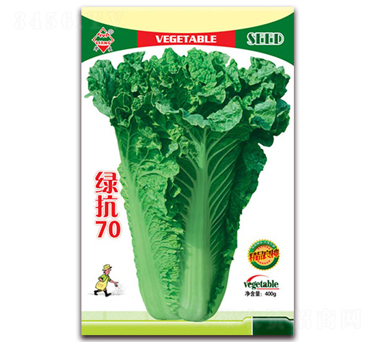 �G��70-��ײ˷N��-�A���N�I(y��)