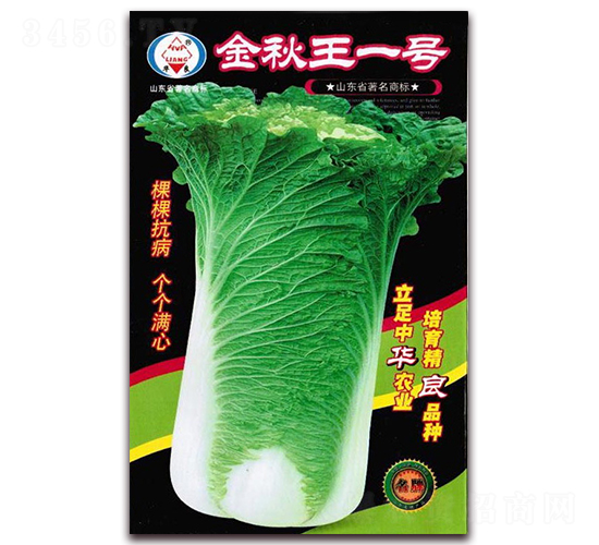 ������һ̖(h��o)-��ײ˷N��-�A���N�I(y��)