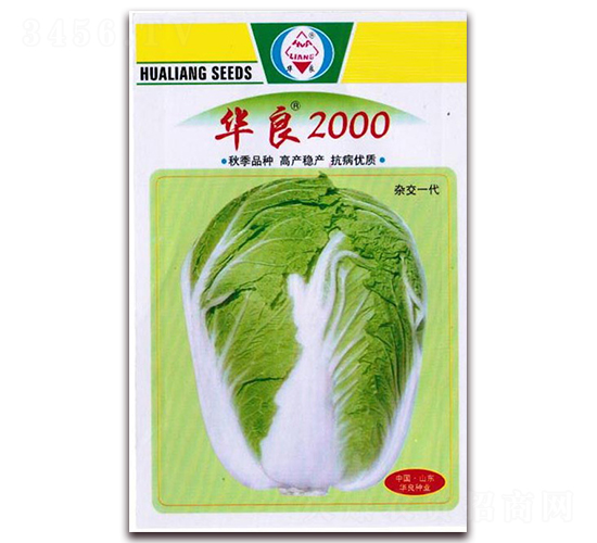 �A��2000-��ײ˷N��-�A���N�I(y��)