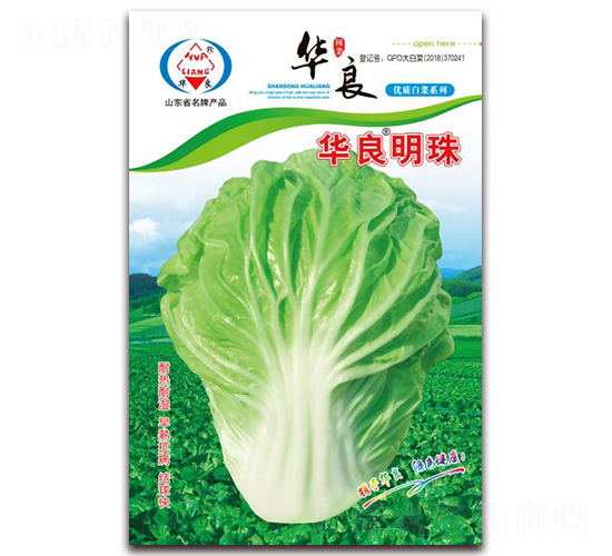 �A������-��ײ˷N��-�A���N�I(y��)