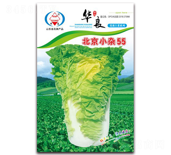 ����С�s55-��ײ˷N��-�A���N�I(y��)