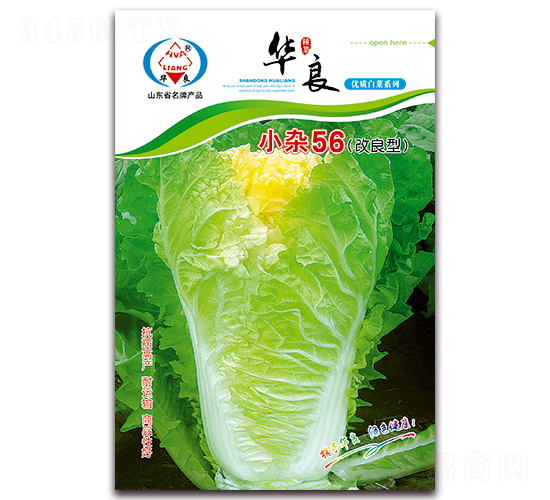 С�s56-��ײ˷N��-�A���N�I(y��)