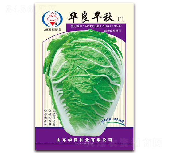 �A������-��ײ˷N��-�A���N�I(y��)