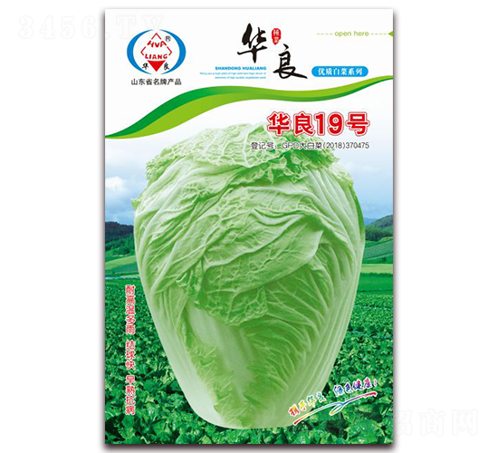 �A��19̖-��ײ˷N��-�A���N�I(y��)