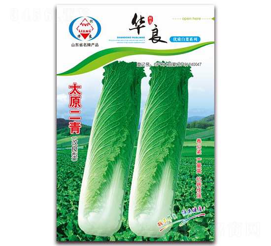 ̫ԭ����-��ײ˷N��-�A���N�I(y��)