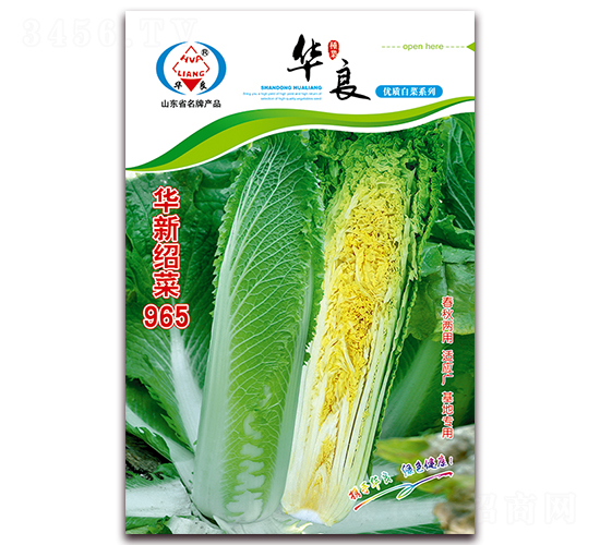 �A�½B��965-��ײ˷N��-�A���N�I(y��)