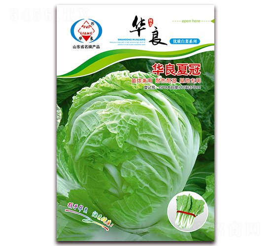 �A���Ĺ�-��ײ˷N��-�A���N�I(y��)