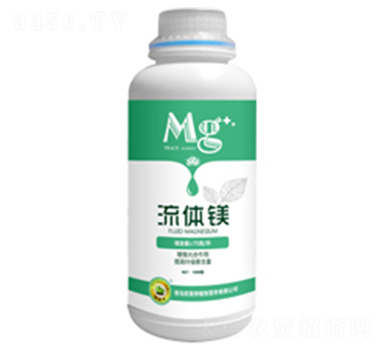 ���w�V-�W����