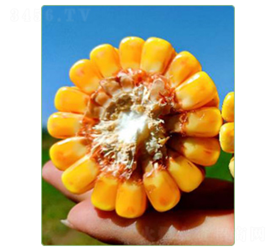 �A��948-���׷N��-�A���N�I(y��)