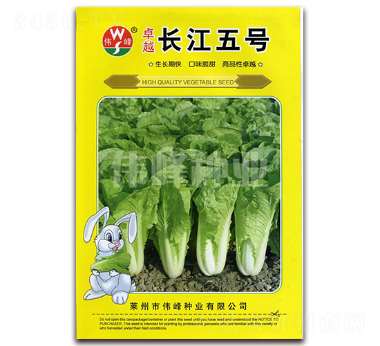 ׿Խ�L(zh��ng)����̖(h��o)-�ײ˷N��-����N�I(y��)