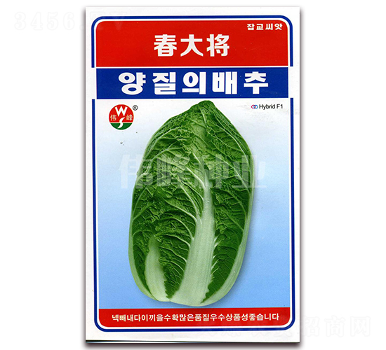 ����-�ײ˷N��-����N�I(y��)