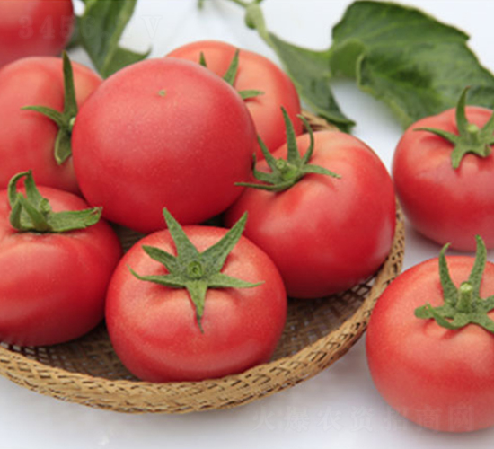 DLR-����911-���ѷN��-������