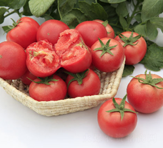 DLR-����920-���ѷN��-������